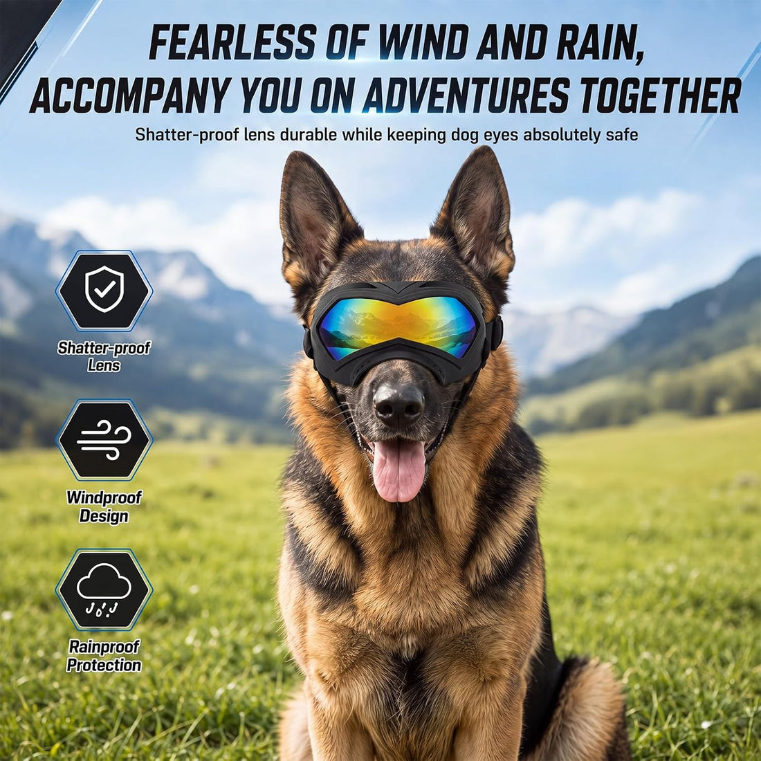 Dog Goggles for Large Dogs Eye Protection Wide Snout