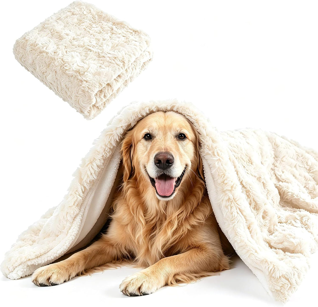 Cat Blanket for Indoor Cats, Soft Faux Fur & Sherpa