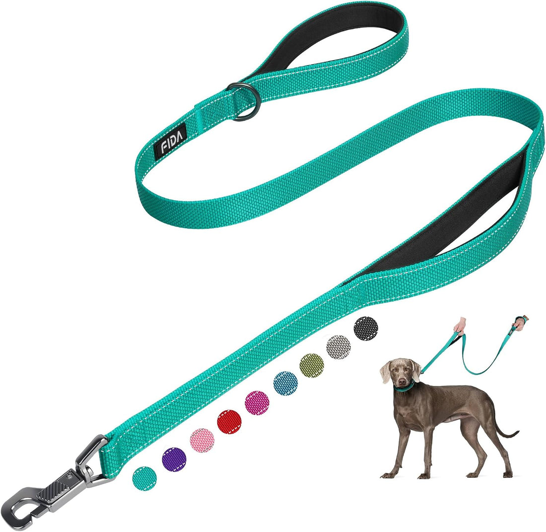 Fida Heavy Duty Dog Leash for Medium Large Dogs, 4 FT
