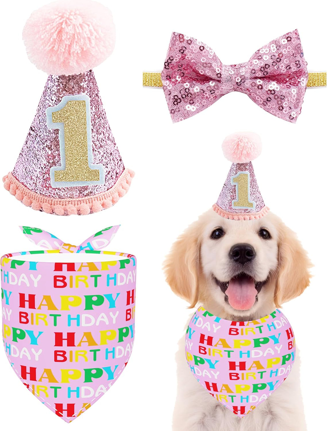 PET SHOW Blue Dog 1st Birthday Party Hat for Small Medium Dogs Boys