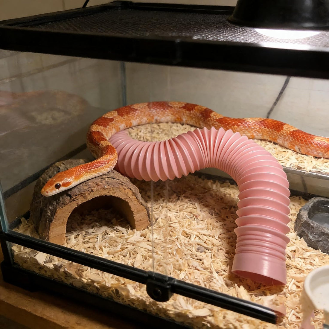 1 Pink Bendable and Flexible Snake Hide Tunnel for Corn Juvenile