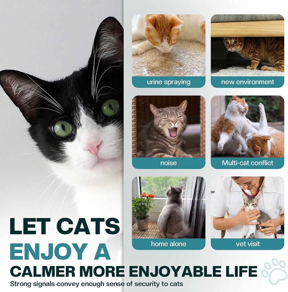 Cat Calming Diffuser 6 in 1 Multicat Calming Pheromones Diffusers