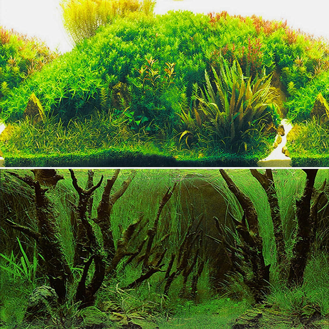 ELEBOX Aquarium Background Poster