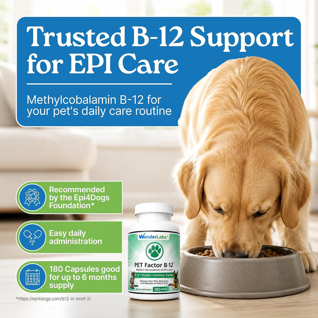 Wonder Laboratories Vitamin B12 - Methylcobalamin Dog Supplement