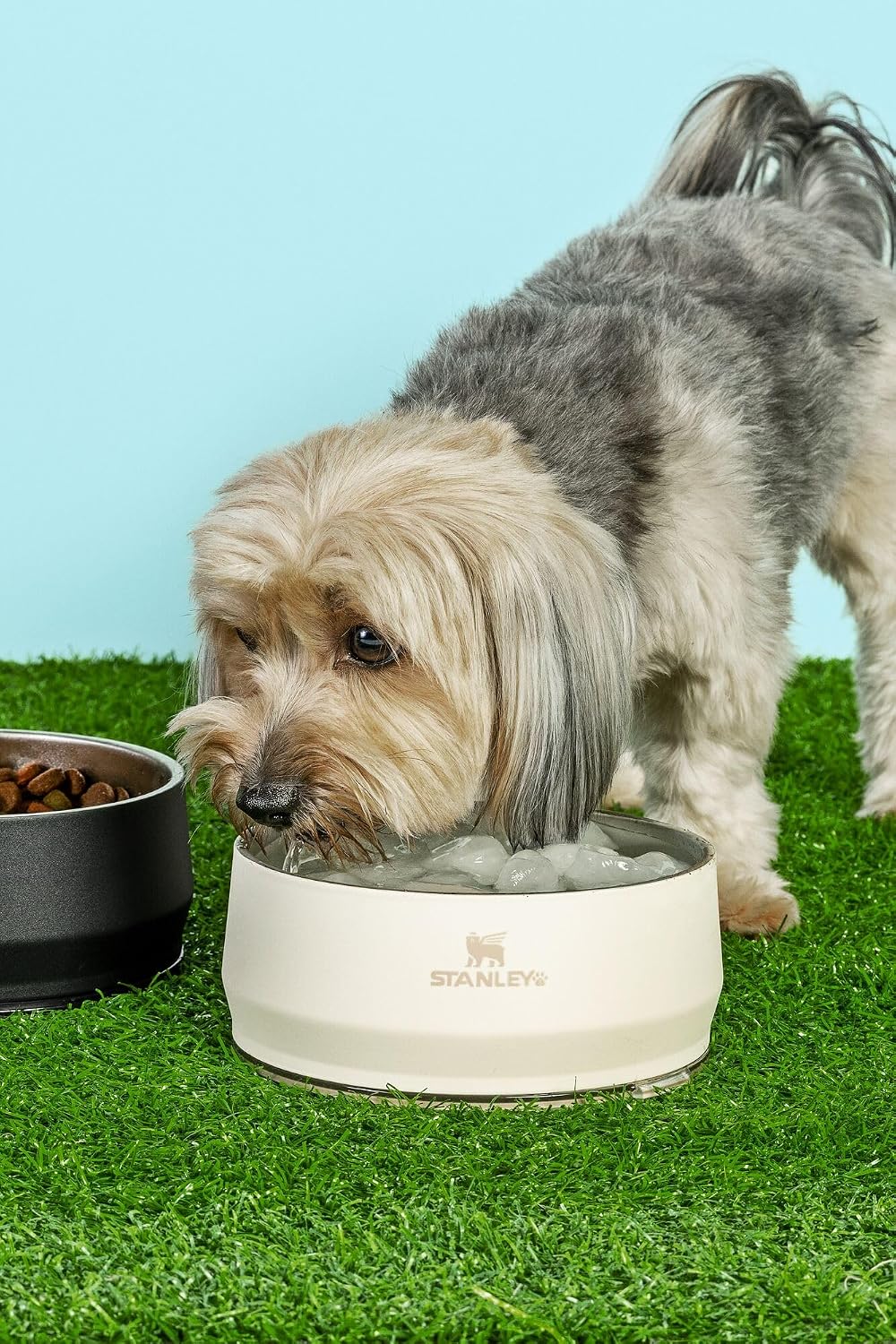 STANLEY Pet Bowl with Lid, 24 oz (3 Cups)