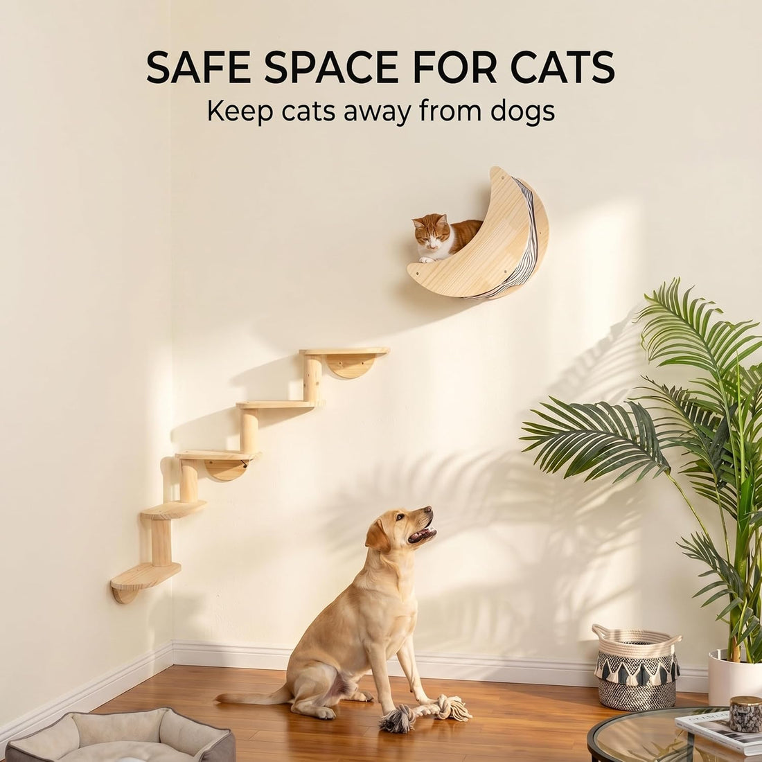Cat Wall Shelves, Solid Wood Moon Bed