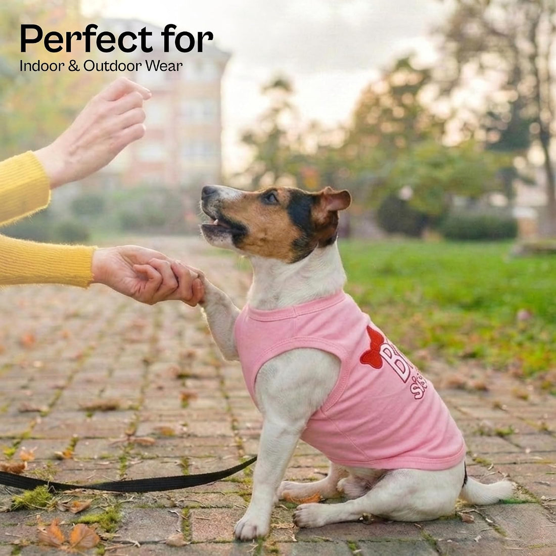 Parisian Pet Dog Shirt – 100% Cotton Shirts for Medium Dogs