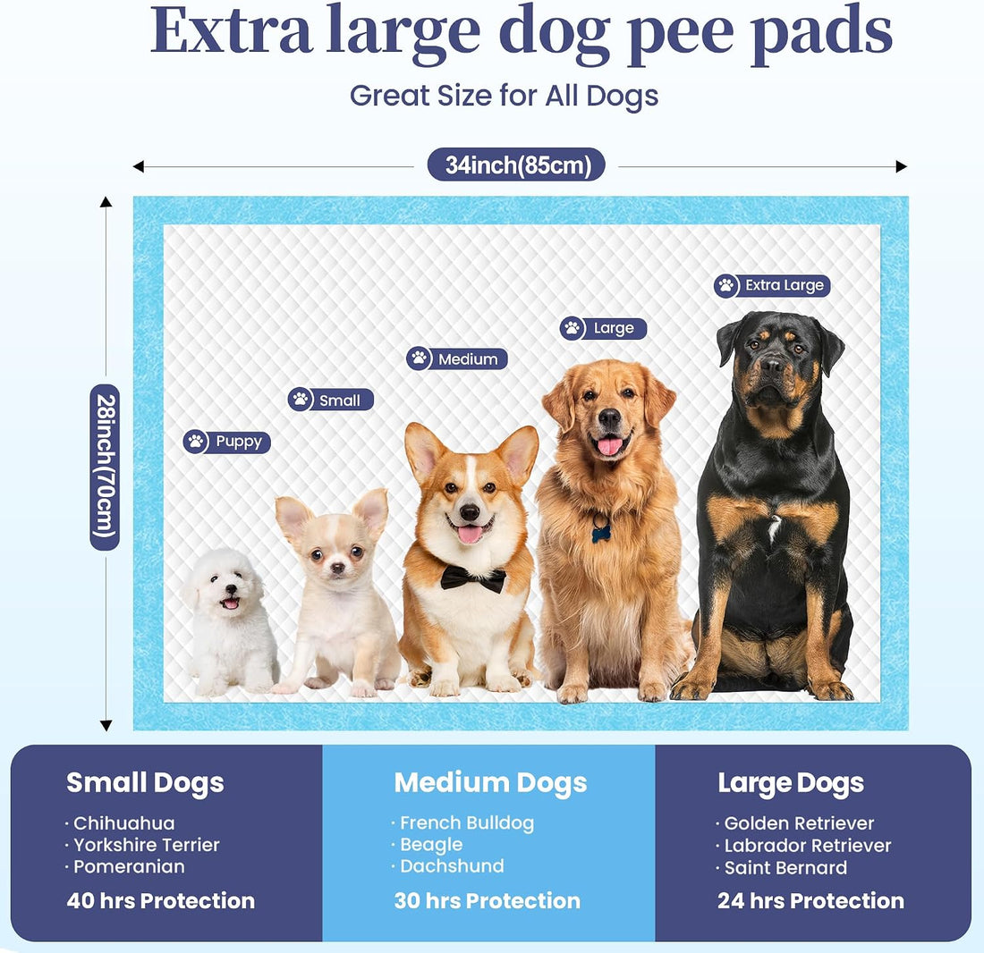 SCLOSE XL Dog Pee Pads 100 Count