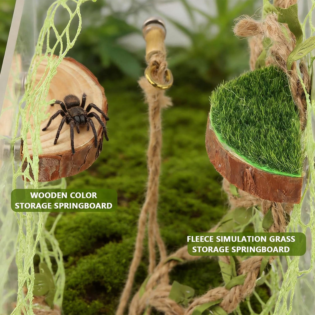 Jumping Spider Enclosure Accessories Kit