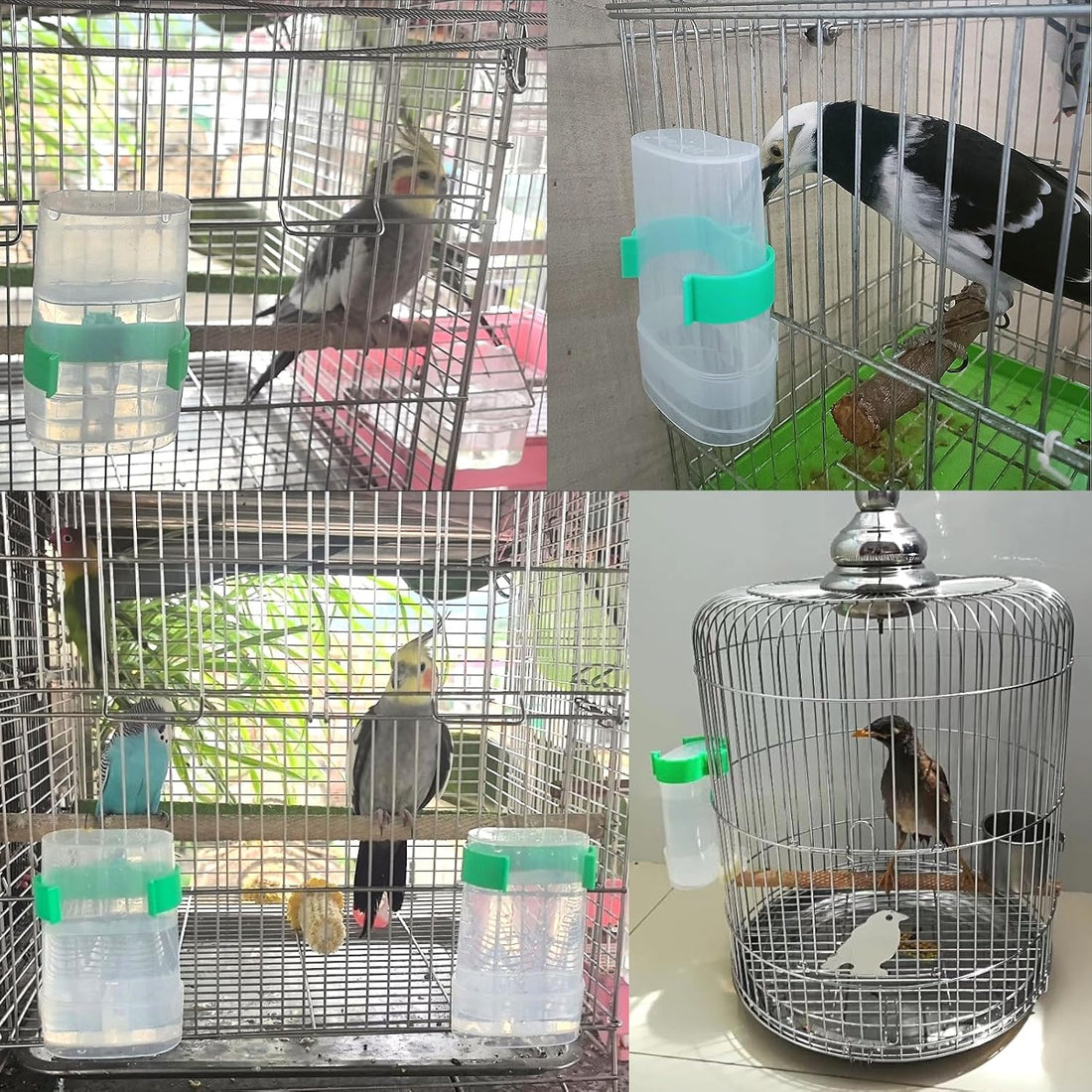 2 Pack Bird Water Dispenser and Feeder for Parakeet Cage Accessories