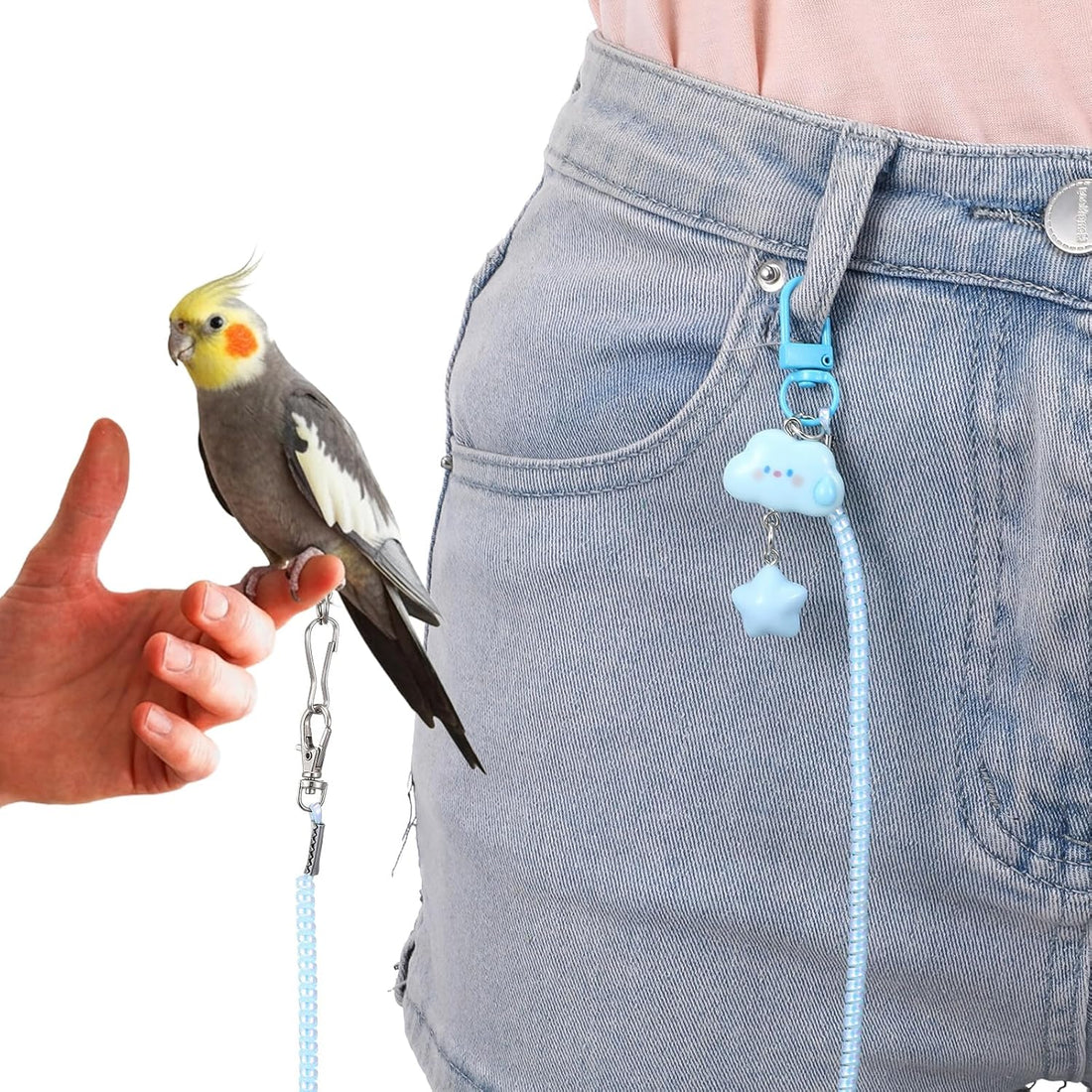 Parrot Flying Leash, Elastic Bird Harness with Foot Rings