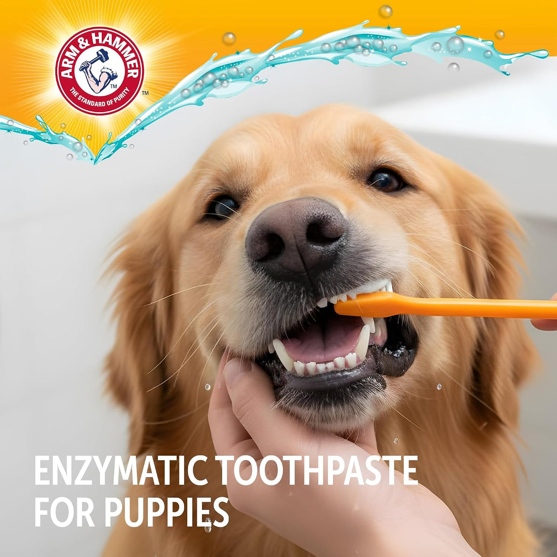 Arm & Hammer Complete Care Dog Dental Kit