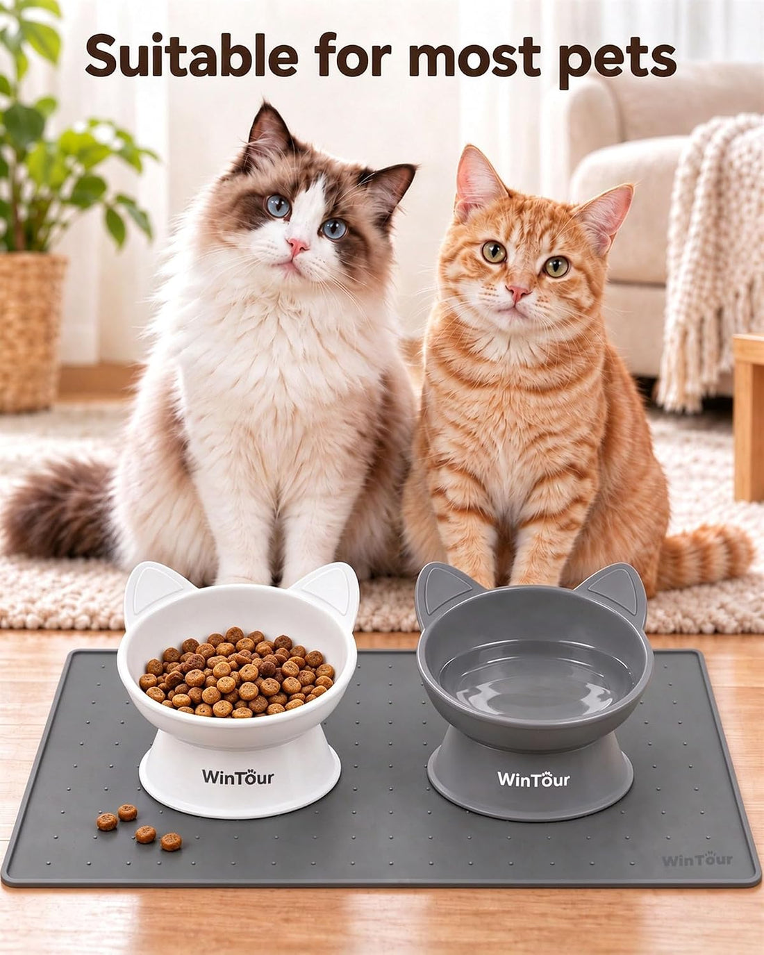 WinTour 2 Pack Elevated Cat Bowls with Food Mat