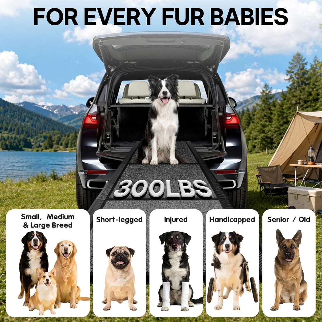 Dog Ramp for Large Pets, 71" L x 20" W