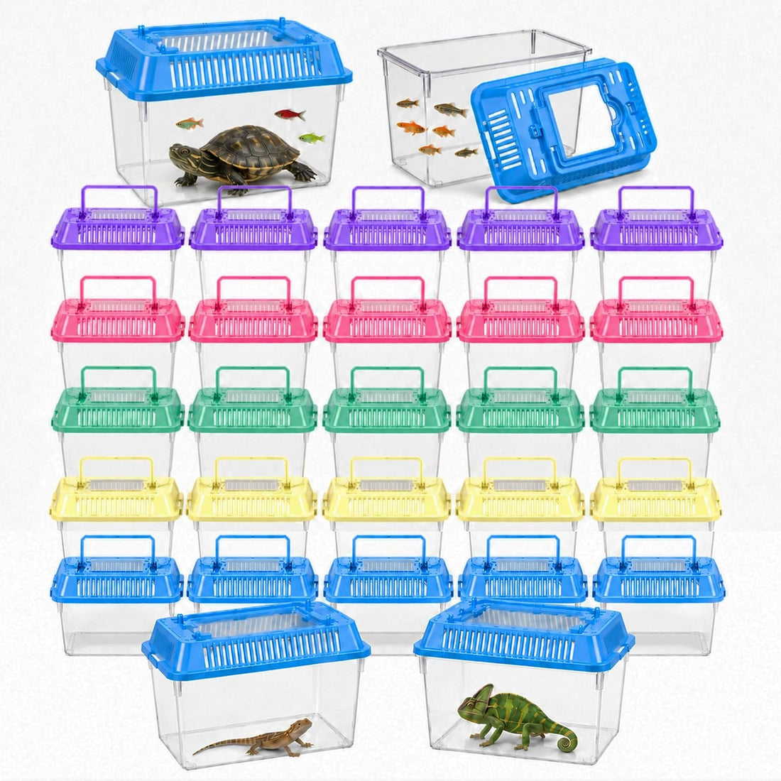 25 Pack Small Reptile Carrier Boxes, 5.9 x 4.3 x 3.7 in