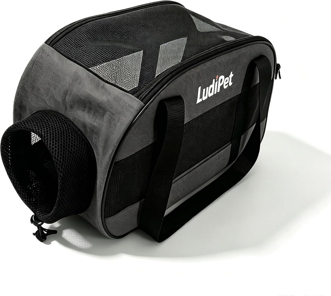 Airline-Friendly Pet Carrier for Cats and Small Dogs