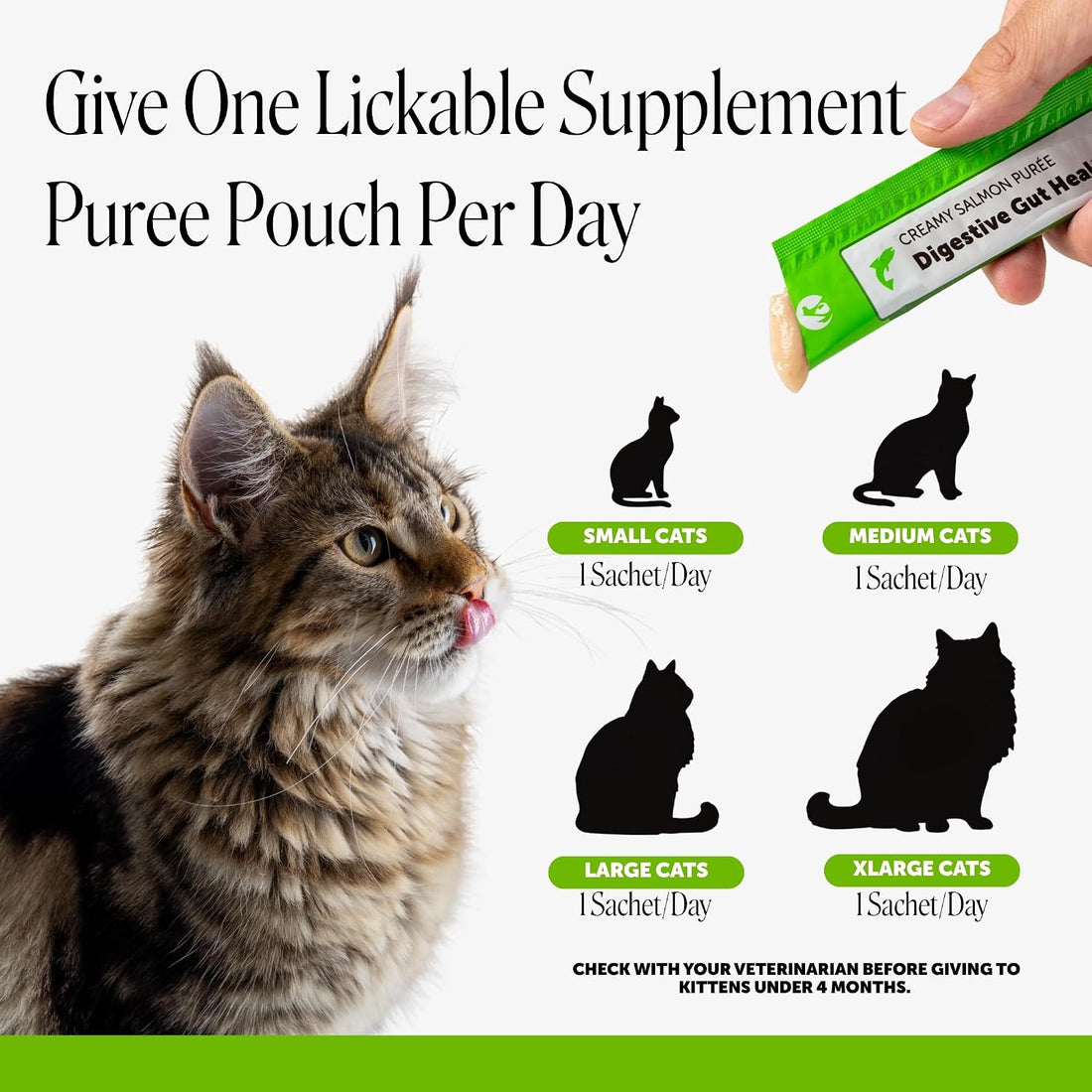 Pet Honesty Vet Backed Cat Probiotics Lickable Puree, Salmon, 20 Ct