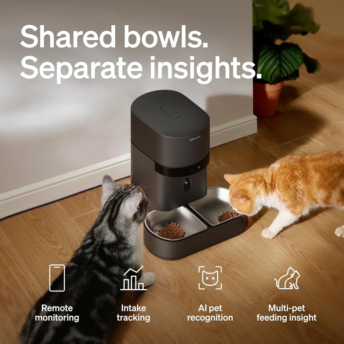 PETLIBRO Automatic Cat Feeder for 2 Cats
