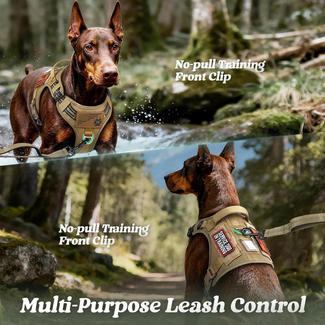 rabbitgoo Tactical Dog Harness for Large Dogs
