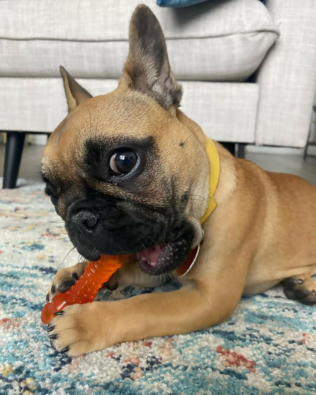 Nylabone Freezer Knuckle Bone Puppy Chew Toy