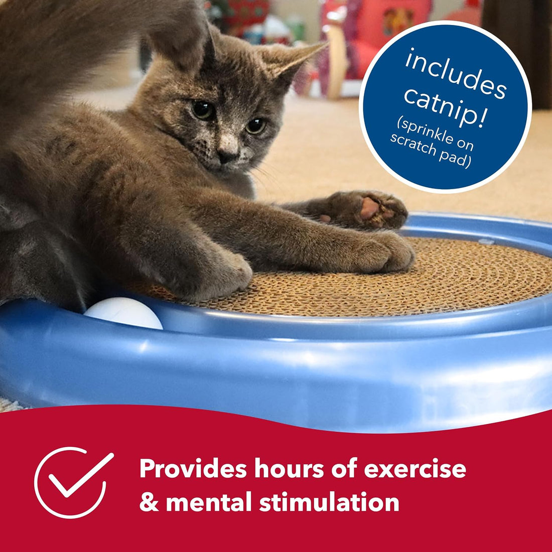 Coastal Pet Turbo Scratcher Cat Toy
