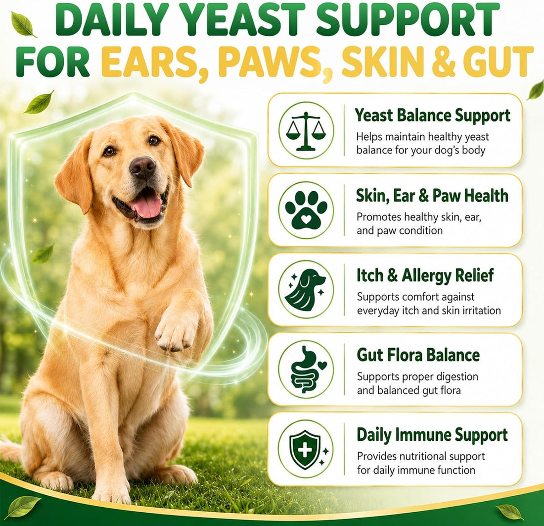 Yeast Infection Treatment for Dogs, Paw Licking, Itchy Ears