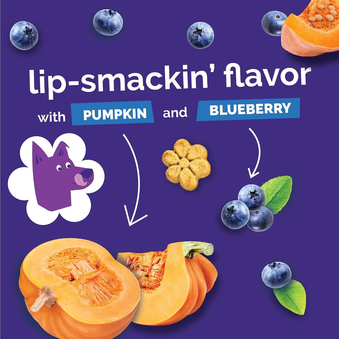 Fruitables Baked Dog Treats, Healthy Pumpkin Treat for Dogs