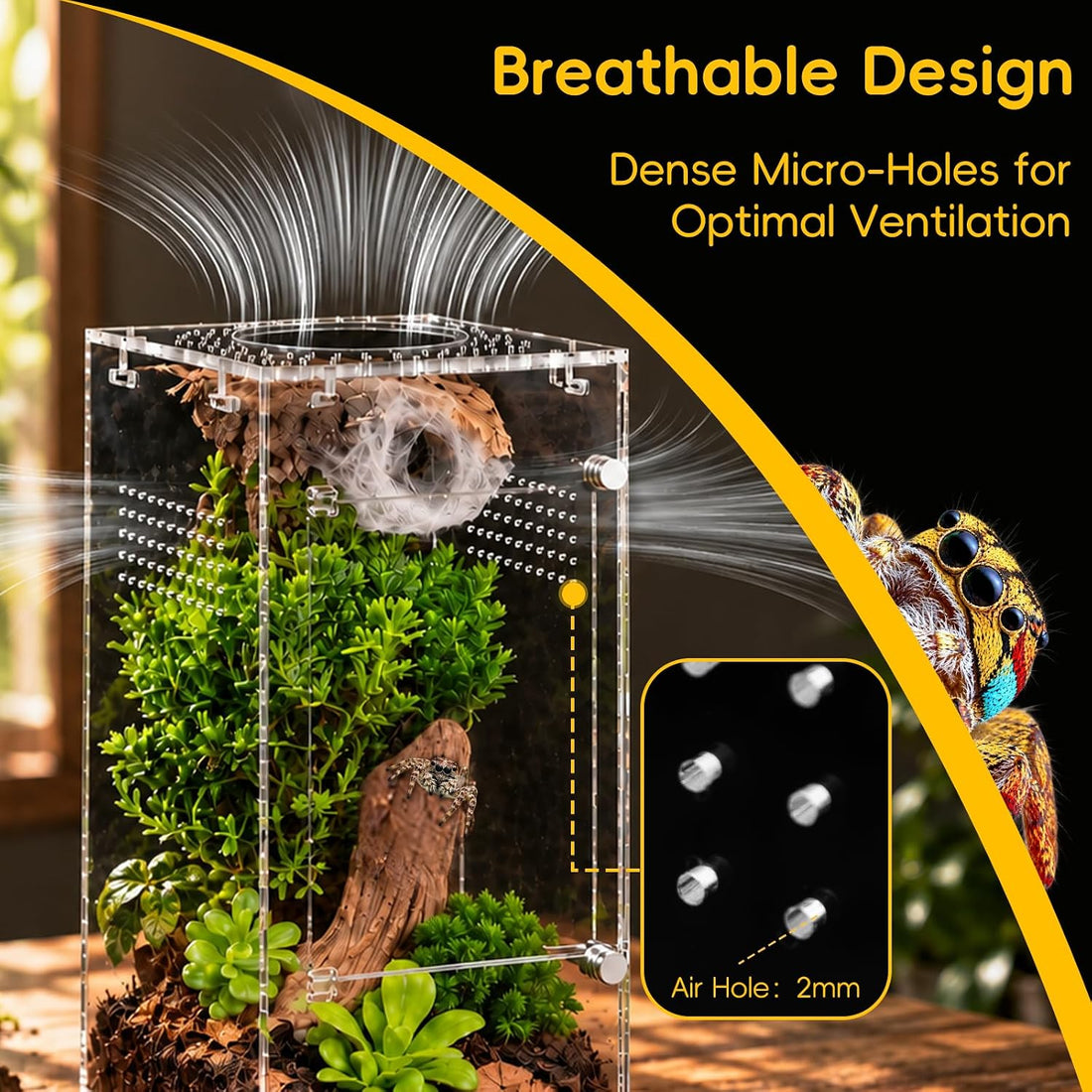 3''x3'‘x6'' Jumping Spider Enclosure Kit,Pre-Assembled PC Terrarium
