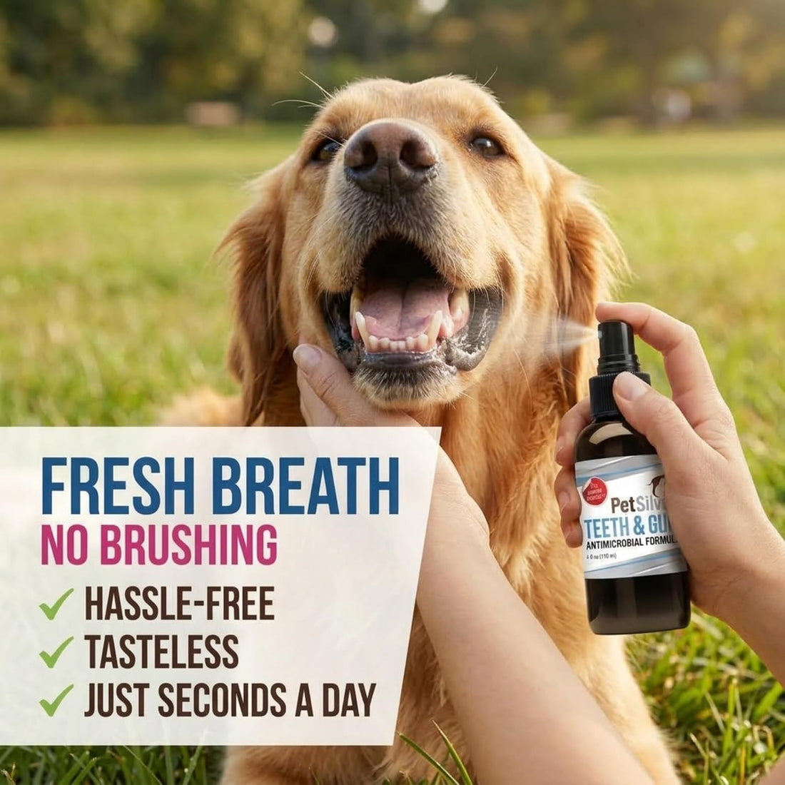 Dog Breath Freshener Spray, Natural Dog Dental Spray, Antibiotic Free