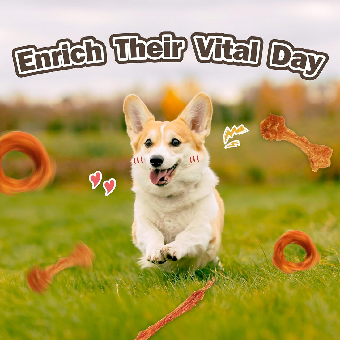 VITADAY Turkey Tendon for Dogs, USA-Sourced, Strips, 3 oz