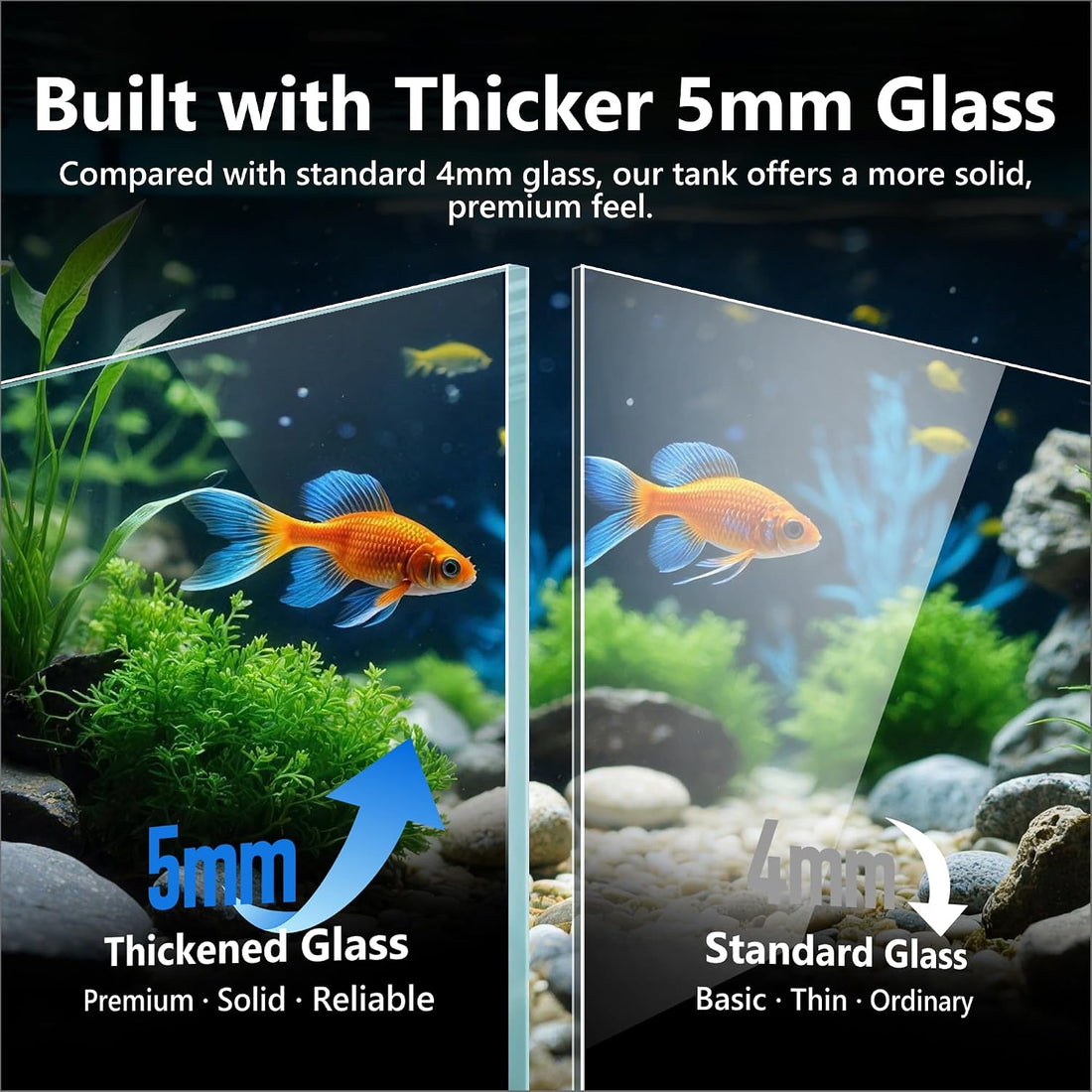 Hjarta 3 Gallons Fish Tank, Ultra-Clear Rimless Aquarium