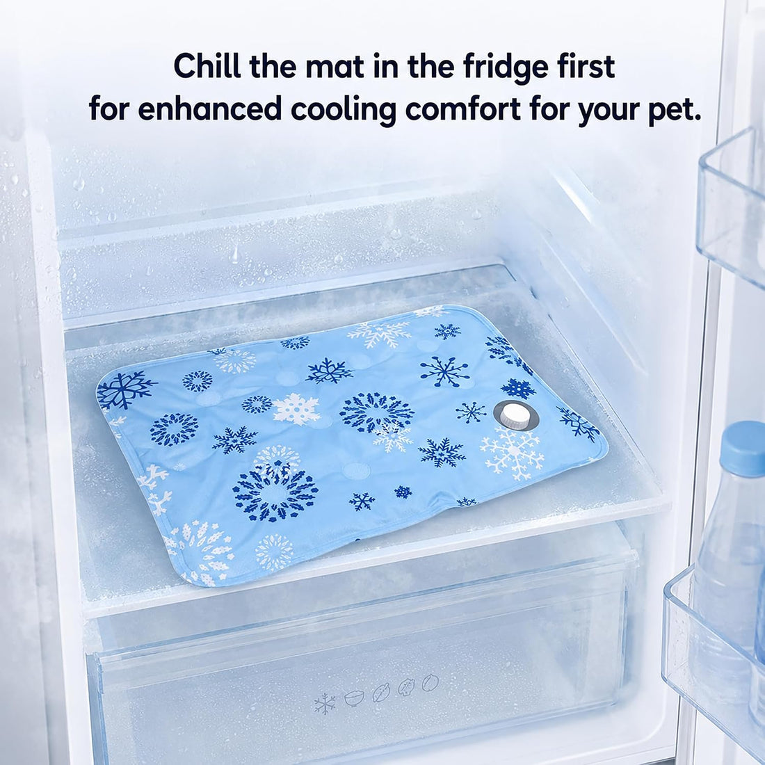 Water-Fill Cooling Cat Bed, Thick Cushion, Raised Bolsters