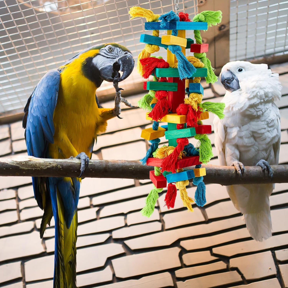 Seenelling 4 Pcs Extra Large Bird Parrot Toy Multicolored Natural