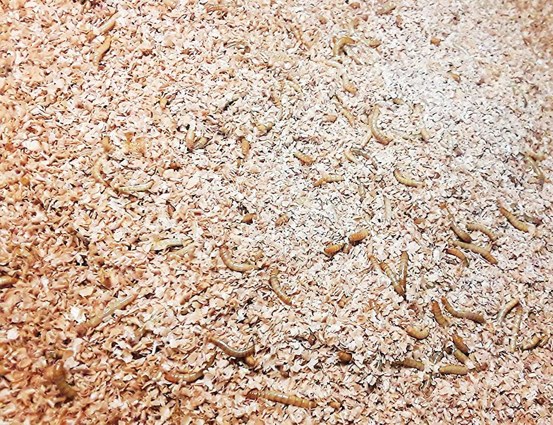 Josh's Frogs Mealworm & Superworm Wheat Bran Bedding, 5 Quarts