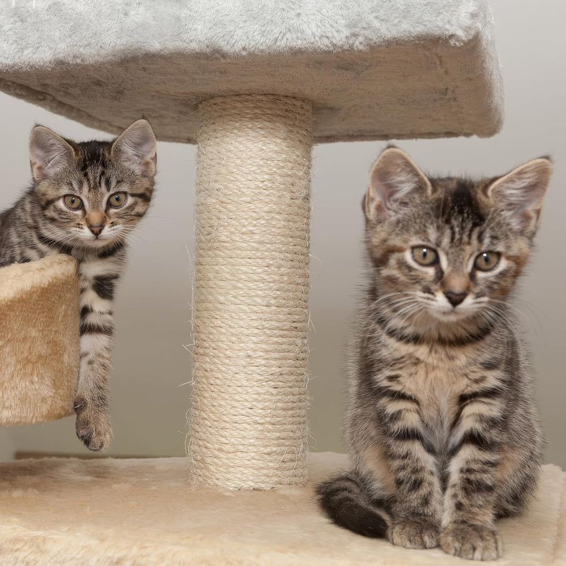 164 Ft Sisal Rope for Cat Tree, 1/6 Inch Natural Twine, Natural Color