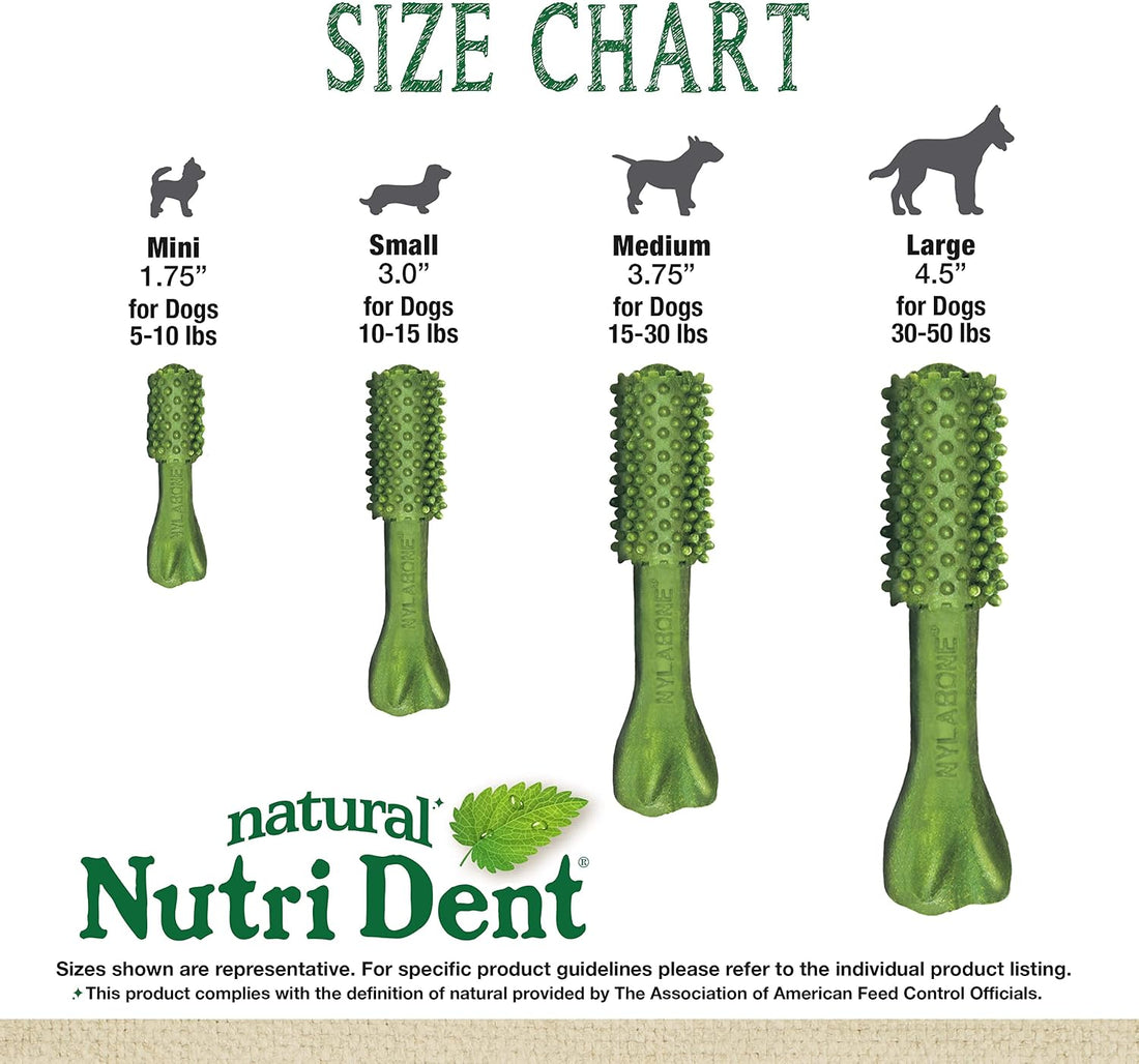 Nylabone Nutri Dent Natural Dental Chews for Dogs