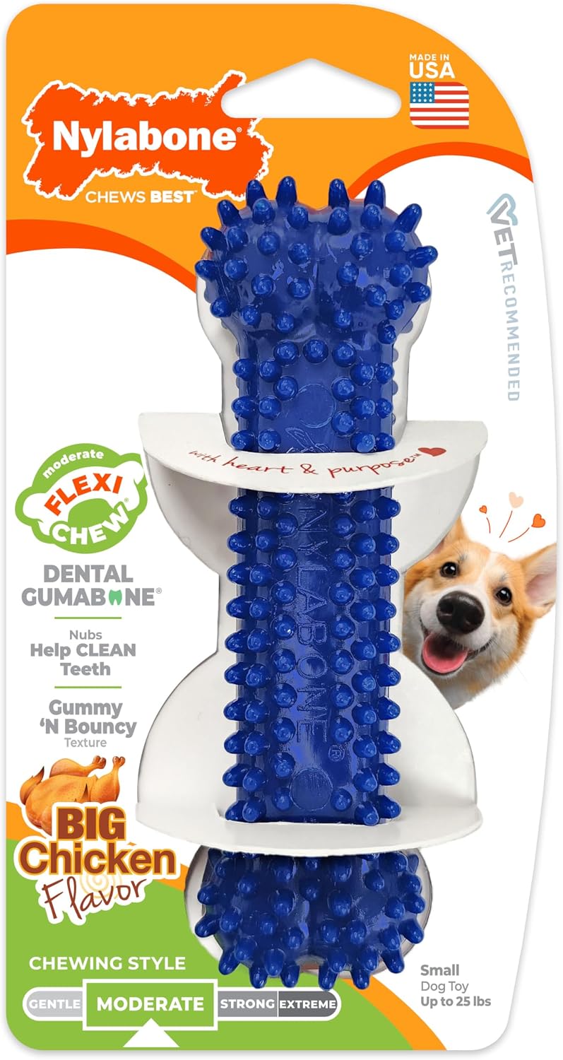 Nylabone Textured Dental Bone Flexi Chew Toy for Dogs