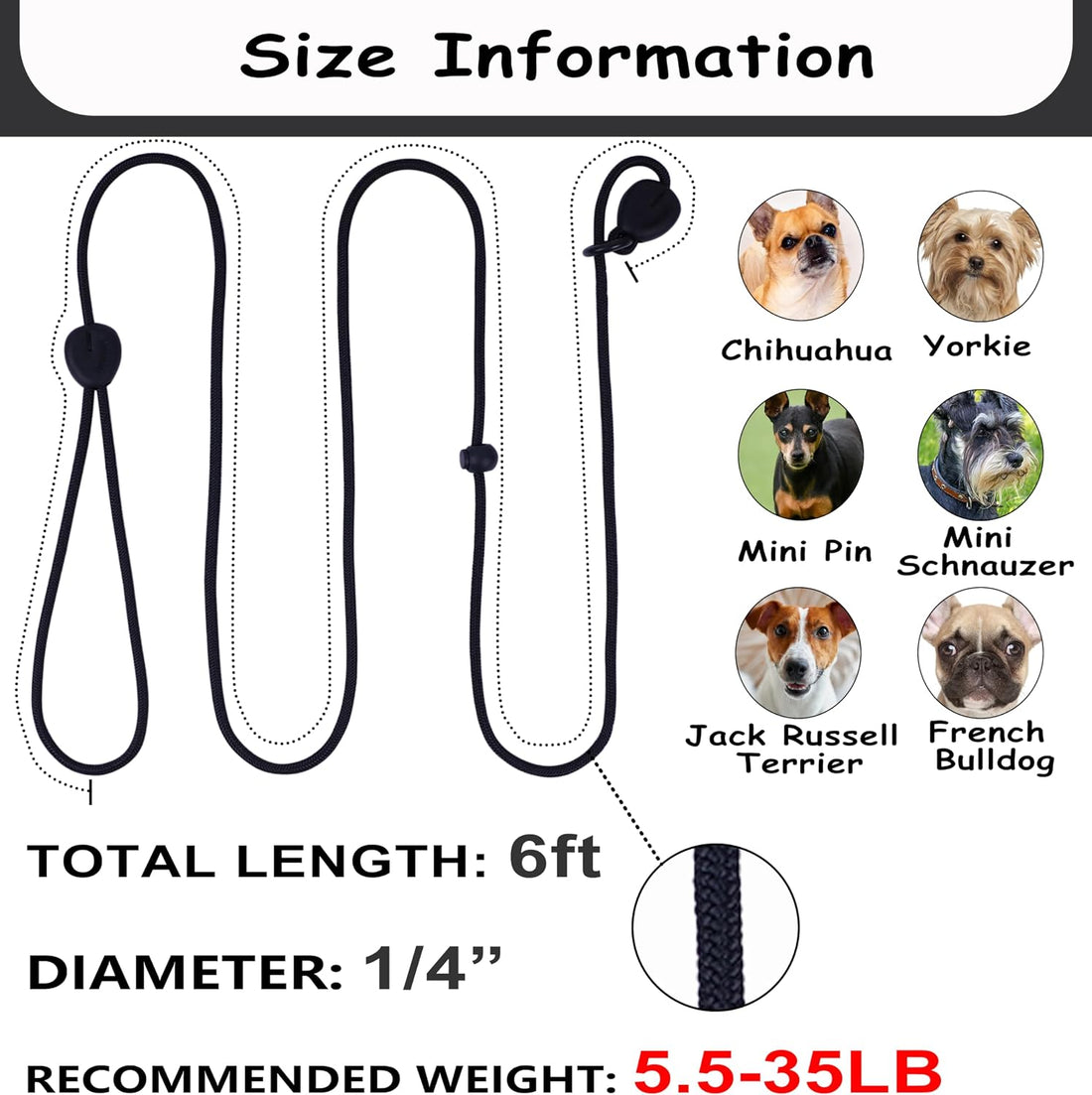 6FT Heavy Duty Slip Lead - No Pull Dog Training Leash