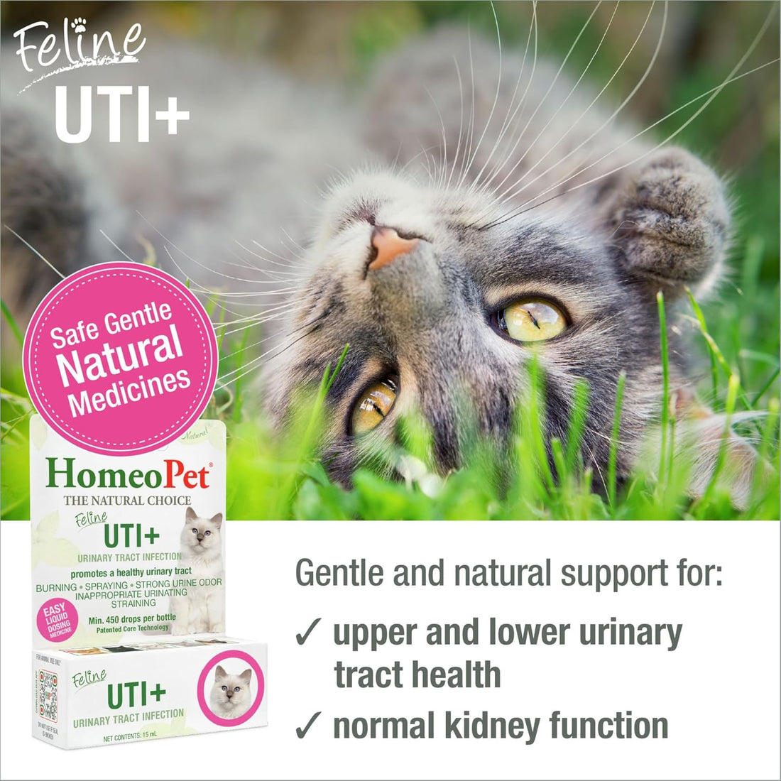 HomeoPet Feline UTI+, Safe and Natural Urinary Tract Supplement