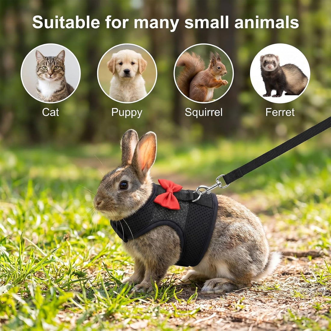 Rabbit Ferret Harness Bunny Harness and Leash Set Soft Breathable M