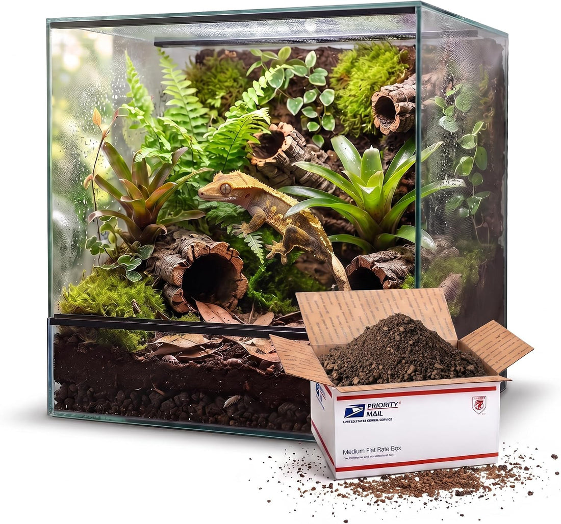 Carbonized Cork Terrarium Background (Med - LG Chunks 12qt)