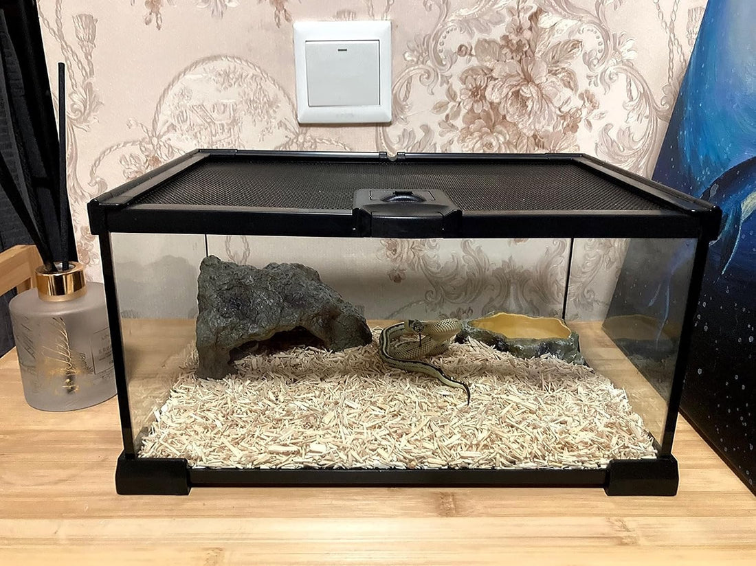 AWXZOM Mini Reptile Glass Terrarium Tank