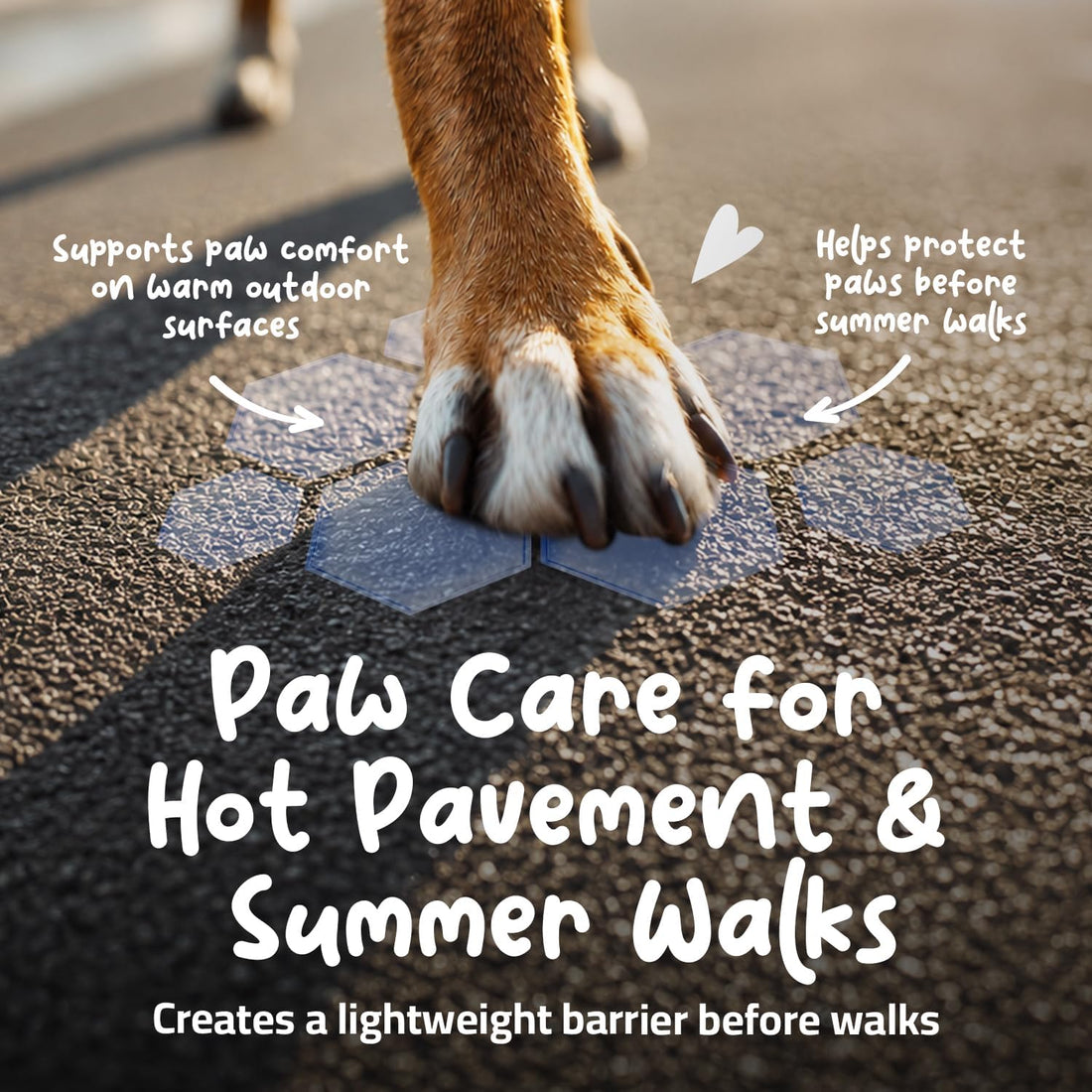 Roll-On Dog Paw Balm - Moisturizer & Soothing Protection from Snow