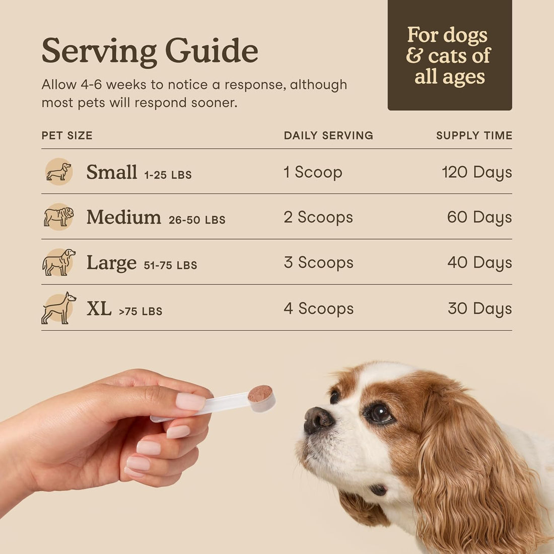 Fera Pets Mushroom Supplement for Dogs & Cats with Turkey Tail