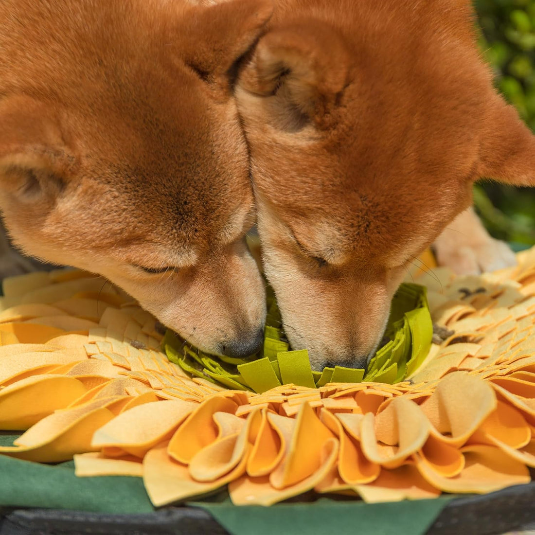 Snuffle Mat for Dogs Sunflower