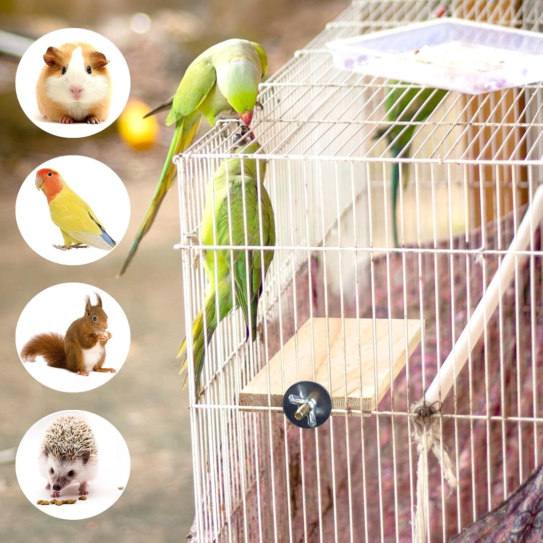 BILLIOTEAM 4-Size Bird Platforms with Wood Perches and Stand Boards