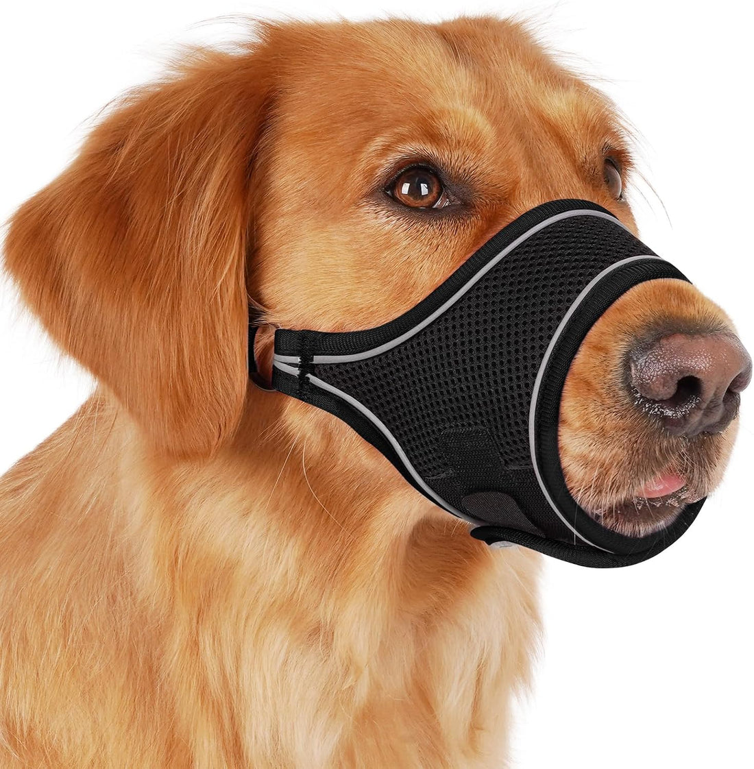 Mayerzon Soft Dog Muzzle for Large Dogs Malinois to Anti Biting