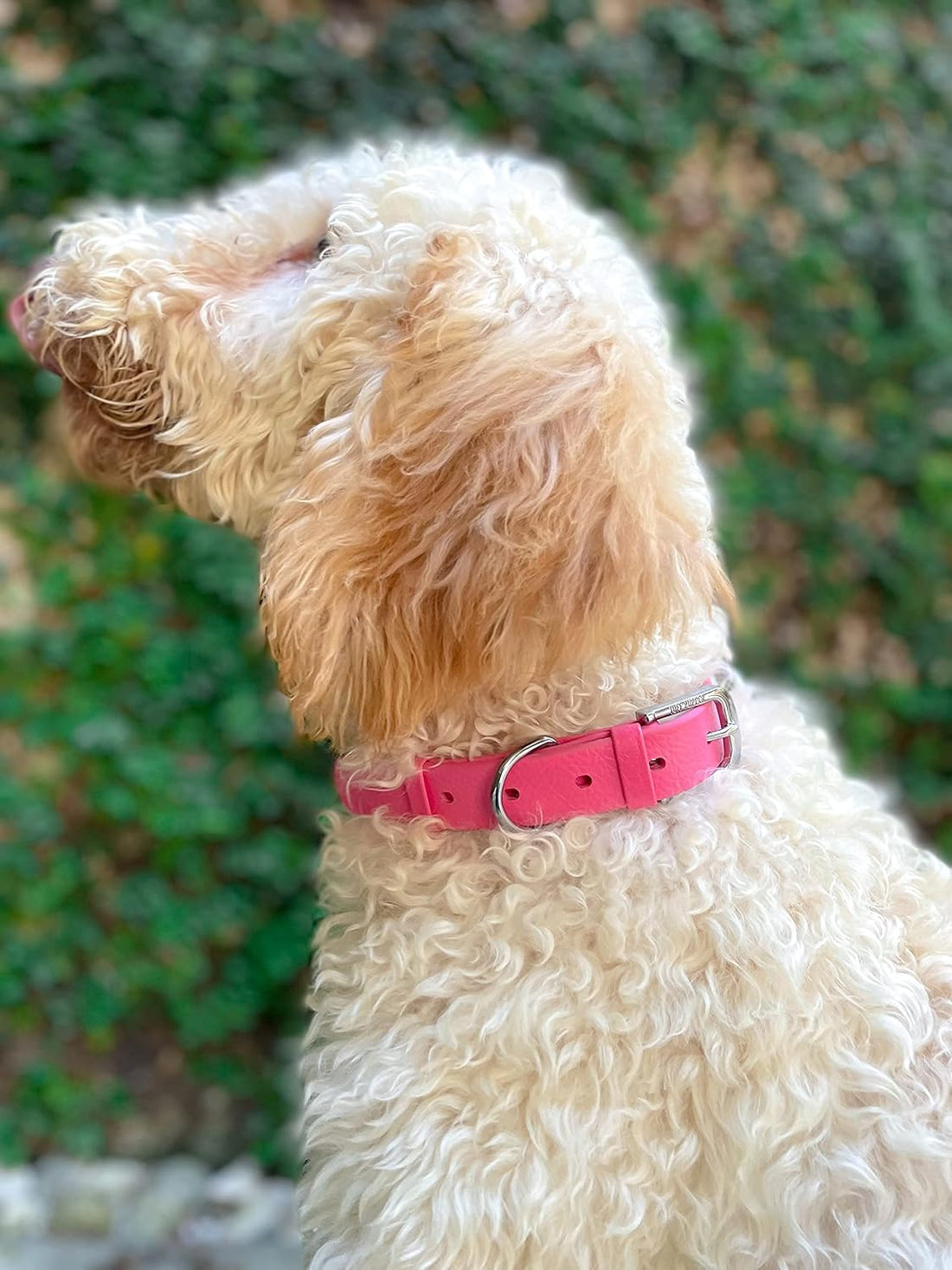 Tuff Pupper Classic Heavy Duty Dog Collar | 10x Stronger Than Leather