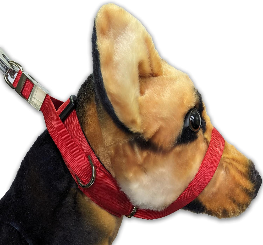 PetsProMax Dog Headcollar for Pulling & Reactive Dogs