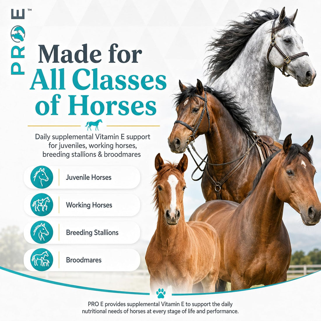 PRO E Equine Vitamin E Supplement, Liquid for Horses, 1 Gallon